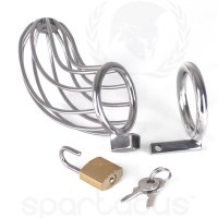 Bird Cage Chastity-2